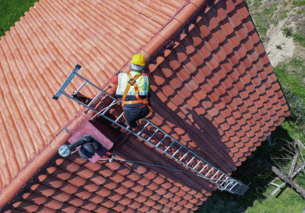 Best Roof Maintenance and Cleaning  in Shadeland, IN